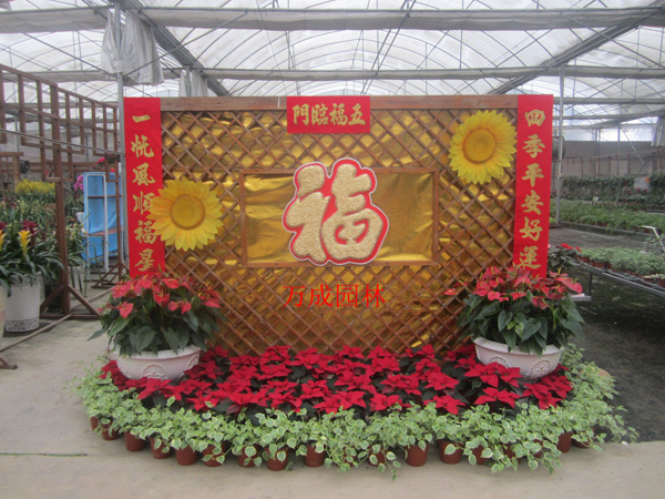 組合14