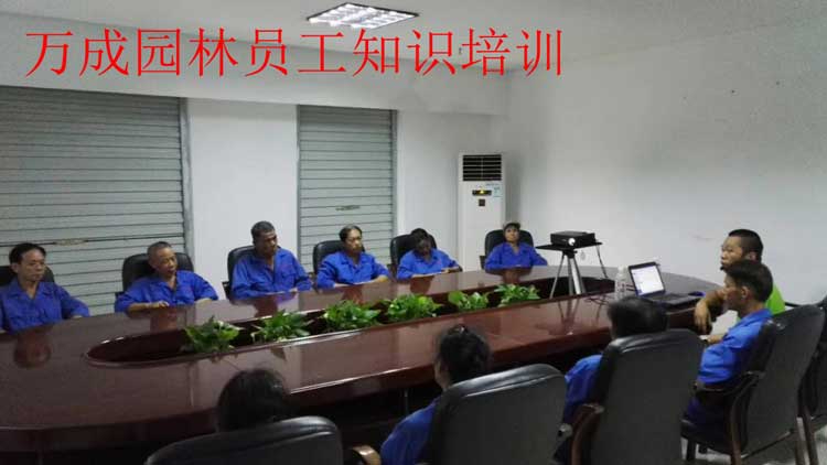 萬成園林員工知識培訓(xùn)