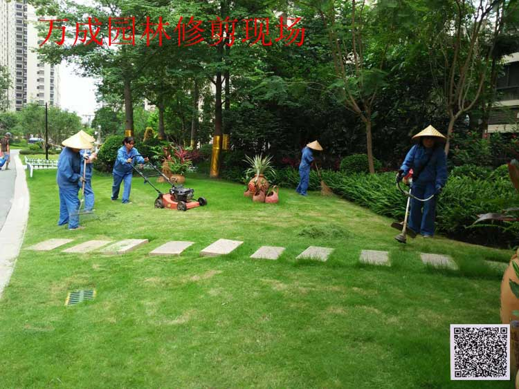 秋冬苗木怎么預(yù)防病蟲(chóng)